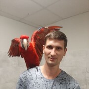 ���������� ������, ���� ������� ����, 32 ����, ������������ ��� ������, ����� � ���������