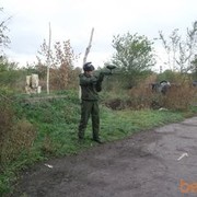  ,   , 37 ,   , 