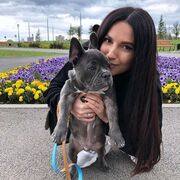  Rosengarten,   , 33 ,     , 