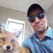 ���������� �����-���������, ���� ������� ������, 60 ���, ������������ ��� ������, ����� � ���������, ���������