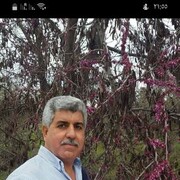  ,   Saadi, 56 ,   ,   , c , 
