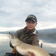 ���������� �������, ���� ������� ���� �����, 41 ���, ������������ ��� ������, ����� � ���������, c�������� ���������