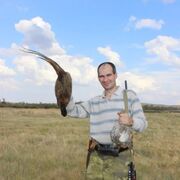 ���������� �������, ���� ������� ���������, 44 ����, ������������ ��� ������, ����� � ���������, c�������� ���������