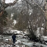 ���������� �������, ���� ������� Zeus, 32 ����, ������������ ��� ������, ����� � ���������