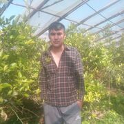  ,   , 46 ,     , c 