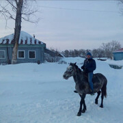 ���������� ���������, ���� ������� ����, 44 ����, ������������ ��� c�������� ���������