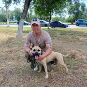 ���������� ���������, ���� ������� ���������, 55 ���, ������������ ��� ������, ����� � ���������