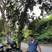  ,   , 43 ,   ,   , c 