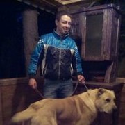 ���������� ������, ���� ������� �����, 37 ���, ������������ ��� ������