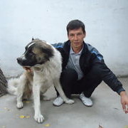 ���������� ������, ���� ������� Almaz, 50 ���, ������������ ��� ������, ����� � ���������, c�������� ���������