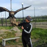 ���������� ���������, ���� ������� Megnas, 35 ���, ������������ ��� ������, ����� � ���������, c�������� ���������