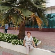  ,   , 67 ,   ,   