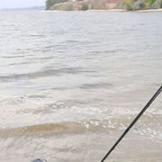 ���������� �������, ���� ������� �������, 46 ���, ������������ ��� ������, ����� � ���������