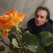 ���������� ������, ���� ������� �����, 37 ���, ������������ ��� ����� � ���������, c�������� ���������