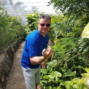  ,   , 51 ,   ,   , c , 