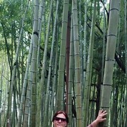  ,   Oksana, 48 ,   ,   , c 