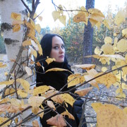 ���������� ���������, ���� ������� ���������, 37 ���, ������������ ��� ����� � ���������, c�������� ���������, ���������