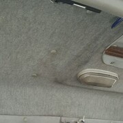 ���������� ���������, ���� ������� ������, 46 ���, ������������ ��� ������, ����� � ���������