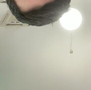  ,  , 24