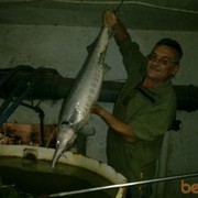 ���������� ��������, ���� ������� ������, 69 ���, ������������ ��� ������, ����� � ���������, c�������� ���������