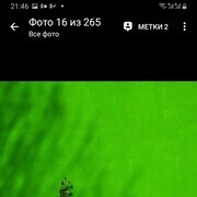  ,   , 49 ,   c , 