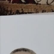  ,   , 53 ,   ,   , c , 