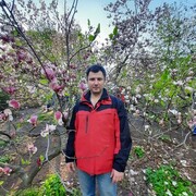  ,   Nikolas, 36 ,   ,   , c , 