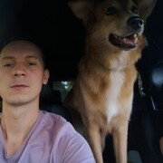 ���������� �����������, ���� ������� �������, 40 ���, ������������ ��� ������, ����� � ���������, c�������� ���������, ���������