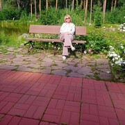  ,   , 65 ,   ,   