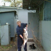 ���������� �����, ���� ������� ������, 61 ���, ������������ ��� ����� � ���������, c�������� ���������