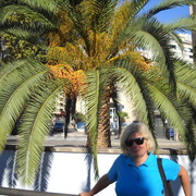 ���������� ����, ���� ������� Lucia, 58 ���, ������������ ��� ������, ����� � ���������, c�������� ���������