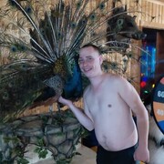  ,  , 28