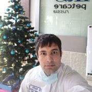 ���������� ���������, ���� ������� ��������, 33 ����, ������������ ��� ������, ����� � ���������, c�������� ���������