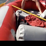 ���������� �����-���������, ���� ������� ������, 54 ����, ������������ ��� ������, ����� � ���������, c�������� ���������