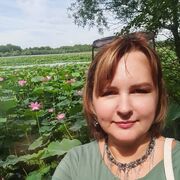 ���������� �����������, ���� ������� ��������, 41 ���, ������������ ��� c�������� ���������