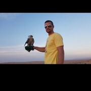 ���������� ������-��-����, ���� ������� �����, 37 ���, ������������ ��� ������, ����� � ���������, c�������� ���������