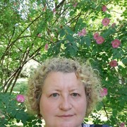  ,   , 52 ,   ,   