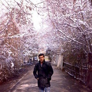  ,   Alfakhouri, 39 ,   