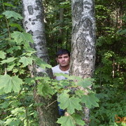 ���������� ������, ���� ������� ������, 39 ���, ������������ 