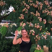  ,   , 51 ,   