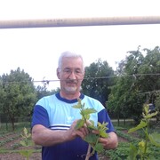  ,   , 75 ,     , c 