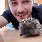  ,   Mickey, 34 ,   ,   , c 