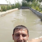  -,   , 33 ,     , c 