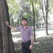 ���������� ������-��-����, ���� ������� �����, 43 ����, ������������ ��� ������, ����� � ���������, c�������� ���������