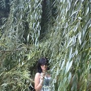 ���������� ���������, ���� ������� ����, 36 ���, ������������ ��� ������, ����� � ���������, c�������� ���������