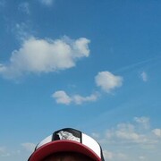 ���������� �����-���������, ���� ������� ��������, 37 ���, ������������ ��� ������, ����� � ���������