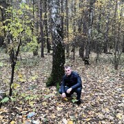 ���������� ������, ���� ������� ������, 46 ���, ������������ ��� ������, ����� � ���������, c�������� ���������