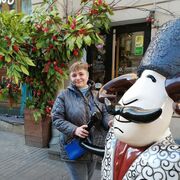 ���������� �����-���������, ���� ������� �������, 50 ���, ������������ ��� ������, ����� � ���������