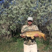 ���������� ����������, ���� ������� ������, 40 ���, ������������ ��� ������, ����� � ���������