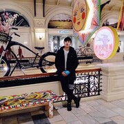 ���������� ������, ���� ������� Shamc, 28 ���, ������������ ��� ������, ����� � ���������